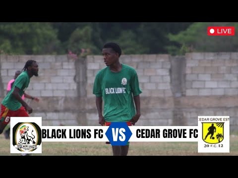 LIVE: Black Lion FC vs Cedar Grove FC Live Stream | St Catherine Football Association Major League
