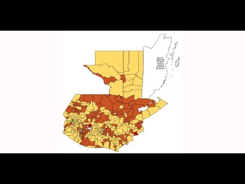 Semáforo Epidemiológico: 217 municipios presentan alerta amarilla
