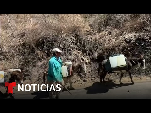 AMLO asegura que “no hay falta de agua en México”. Los afectados los cuestionan | Noticias Telemundo
