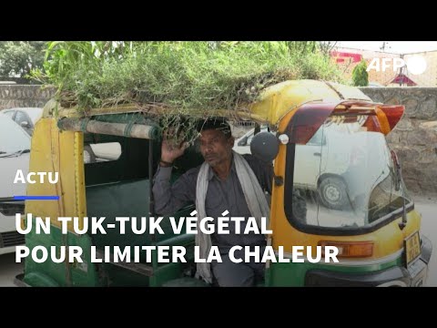 Canicule en Inde: des plantes sur le toit d'un tuk-tuk pour se protéger de la chaleur | AFP