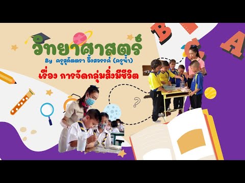 ป.4-:-การจัดกลุ่มสิ่งมีชีวิต-E ป.4-:-การจัดกลุ่มสิ่งมีชีวิต-E