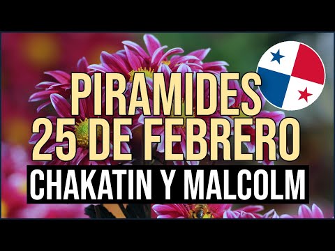 Pirámide Lotería de Panamá Domingo 25 de Febrero 2024  - Pirámide de Chakatin y Malcolm Ramos