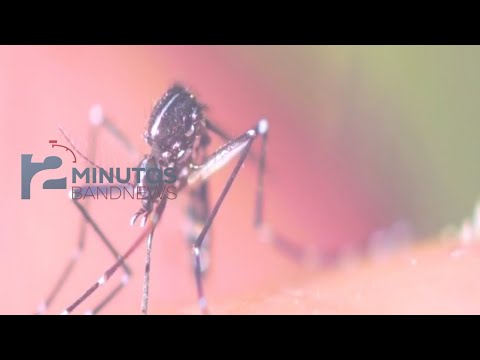 BandNews em 2 minutos (03/06/24 - Noite) Brasil tem 82% dos casos suspeitos de dengue no mundo