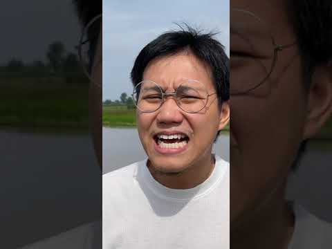โมโม่ยักษ์ โมโม่ยักษ์
