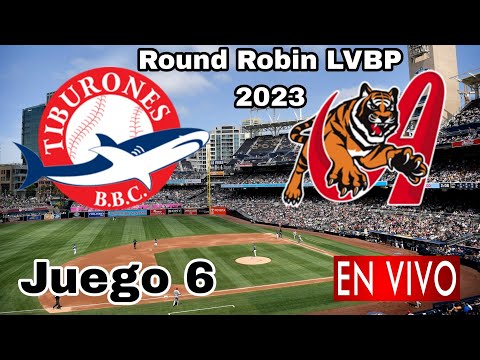 Donde ver Tiburones de La Guaira vs. Tigres de Aragua en vivo, juego 6 Round Robin de la LVBP 2023
