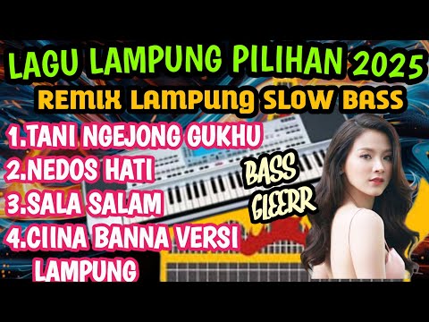 LAGU LAMPUNG PILIHAN 2025 REMIX LAMPUNG SLOW BASS#NEDOS HATI#TANI NGEJONG GUKHU  BASS  GLEER