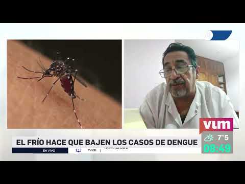 SALUD: Bajaron los casos de dengue