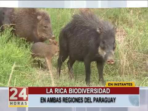 Avance SNT al Natural:  Biodiversidad del Paraguay