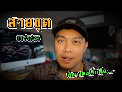 กราฟสายขุด-มีบางตัวเริ่มพลิก