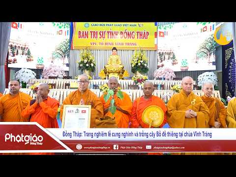 ▶️ Trang nghiêm lễ cung nghinh và trồng cây Bồ đề thiêng tại chùa Vĩnh Tràng