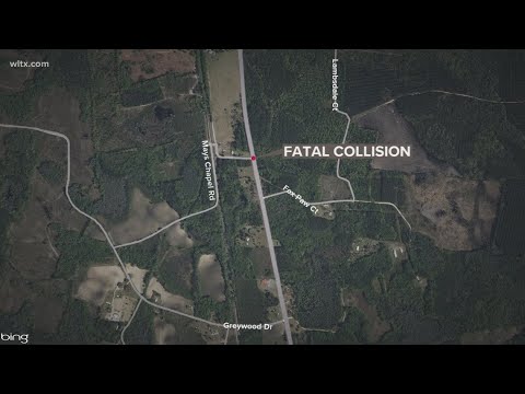 Crash in Orangeburg County leaves one dead, two hurt