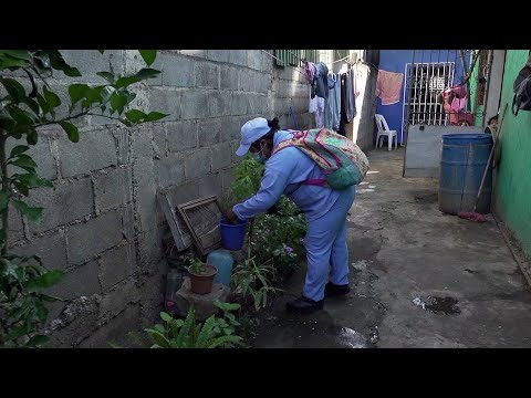 Barrio Rigoberto López Pérez en pie de lucha contra el zancudo Aedes Aegypti