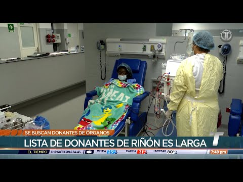 Entrega especial: Se buscan donantes de órganos