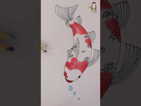 How-to-draw-a-koi-fishShortsKo