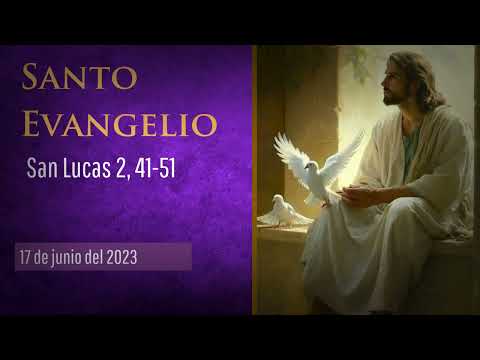 Evangelio del 17 de junio del 2023 según san Lucas 2, 41-51