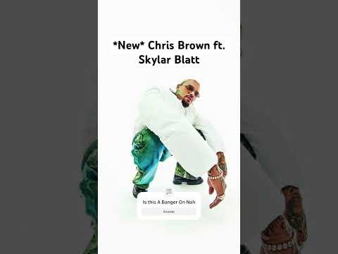 Chris Brown Don’t Miss STILL! #ChrisBrown #SkylarBlatt