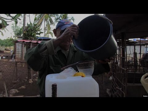 Info Martí | Tomar leche es un lujo en Cuba