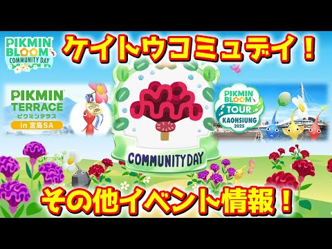 【ピクミンブルーム】ケイトウコミュデイ！その他イベント情報！【Pikmin Bloom】