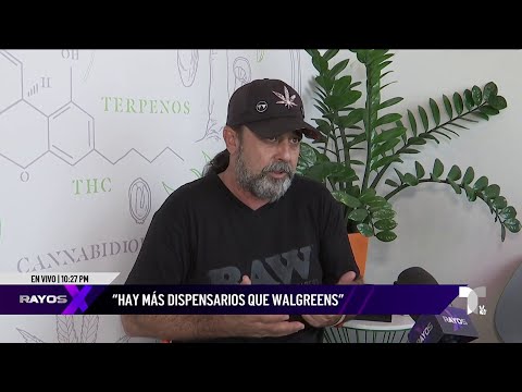 Industria del cannabis medicinal enfrenta problemas de saturación