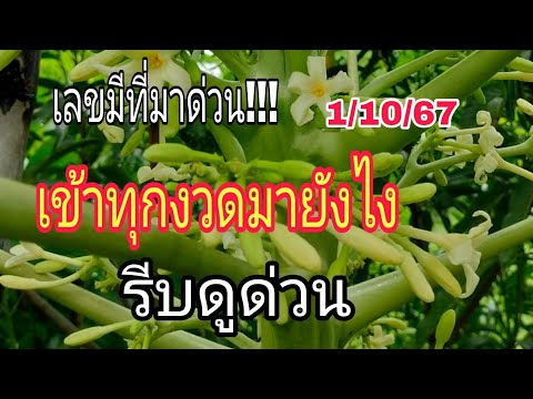 รีบดูด่วนเลขเด็ดเข้าทุกงวด(มีท