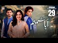 Aapa Shameem Episode 29  4 Jan 2025  Fahad Sheikh  Zoha Tauqeer  Faiza Hassan  ARY Digital