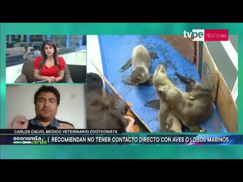 Economía Verde | Carlos Calvo, médico veterinario zootecnista - 8/02/2023