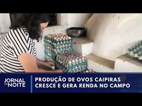 Produção de ovos caipiras ganha espaço no mercado brasileiro