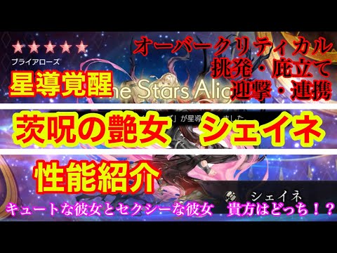 【アナザーエデン】星導覚醒　茨呪の艶女　シェイネ　性能紹介