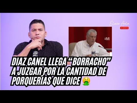 Diaz Canel llega “borracho” a juzgar por la cantidad de porquerías que dice