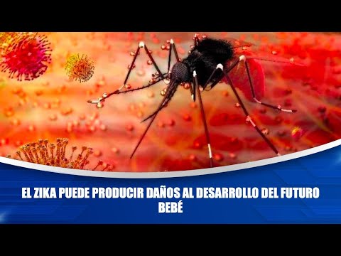 El zika puede producir daños al desarrollo del futuro bebé