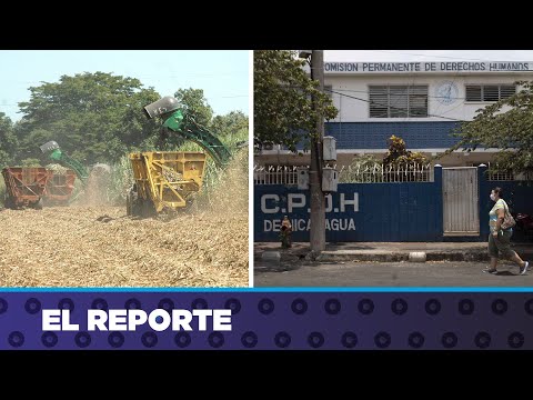 Estados Unidos excluye a Nicaragua de cuota azucarera adicional en 2022