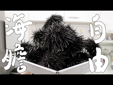 海膽季！海膽自由的感覺！｜RICOの食材圖鑑