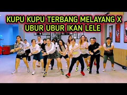KUPU KUPU TERBANG MELAYANG X UBUR UBUR IKAN LELE | TIKTOK VIRAL | CHOREO ZIN CHICIE