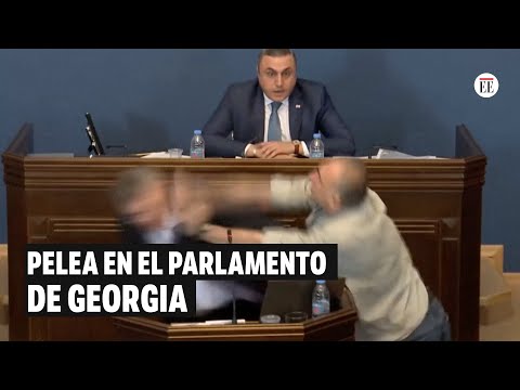 A los golpes en parlamento de Georgia por discusión sobre influencia extranjera | El Espectador