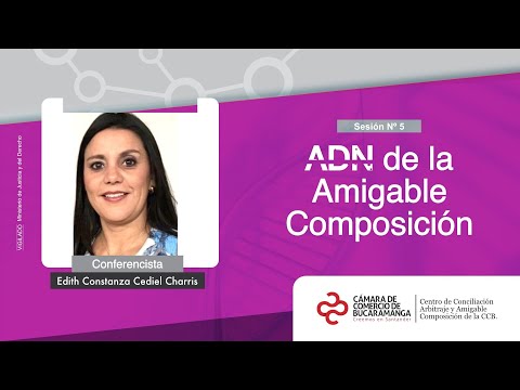 ADN de la Amigable Composición sesión N° 5 - Análisis de casos relevantes de Amigable Composición.