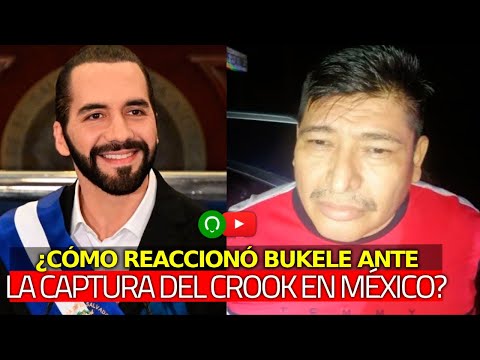 Así REACCIONÓ el Presidente Bukele ante la CAPTURA del CROOK en México