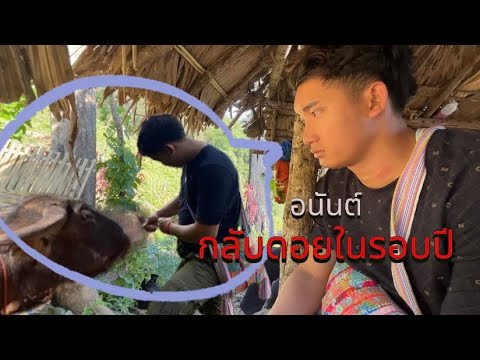 ขึ้นดอยบ้านเกิดในรอบ1ปีนันอ