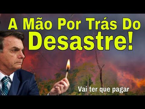 DOMINGÃO REVELAÇÃO: AS MÃOS BOLSONARISTAS NOS INCÊNDIOS! CADEIA É POUCO!