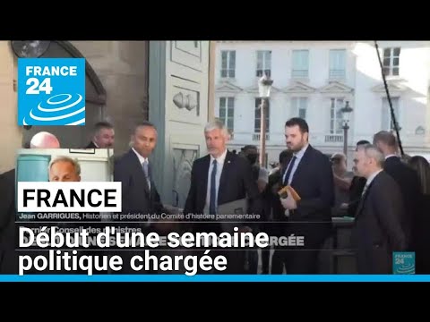 France : début d'une semaine politique chargée • FRANCE 24