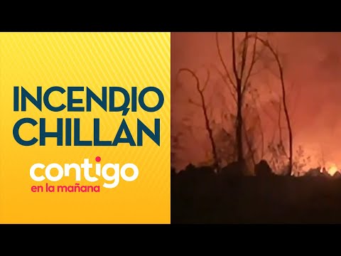ALERTA ROJA: Incendio forestal en Chillán - Contigo en La Mañana