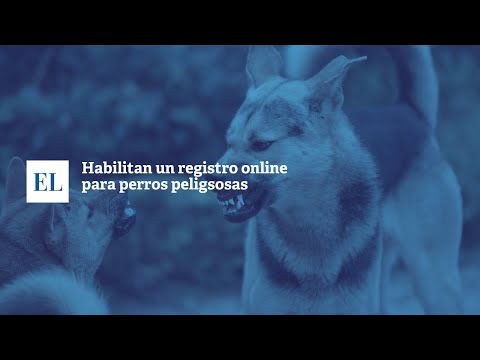 HABILITAN UN REGISTRO ONLINE PARA PERROS PELIGROSOS