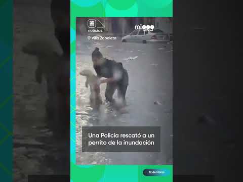 Una Policía rescató a un perrito de la inundación - Telefe Noticias