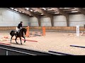 Show jumping horse Spring merrie