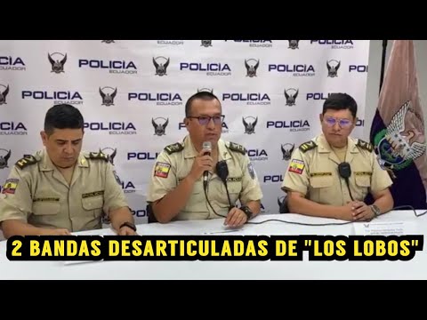 2 Bandas delictivas desarticuladas pertenecientes a Los Lobos