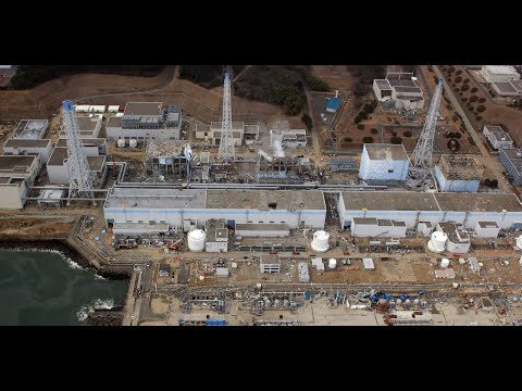 Le Japon autorise le rejet des eaux de Fukushima, quel impact pour l'environnement ?