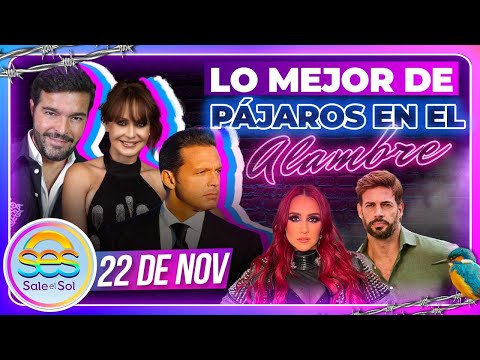 Gaby Spanic, Pablo Montero, Luis Miguel, William Levy en Pájaros en el Alambre | 22 nov 2023