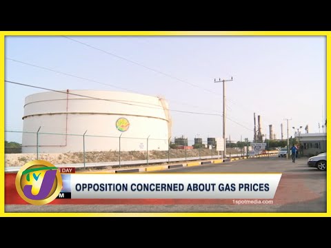 PNP Concerned about Gas Prices in Jamaica | TVJ Business Day - June 22 2021