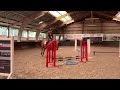 Allround Pferd Super mooie fijne 10 jarige ruin