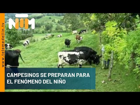 Campesinos se preparan para el Fenómeno del Niño - Telemedellín
