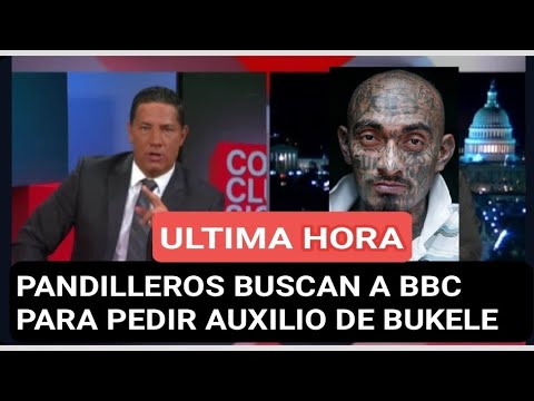 MARAS BUSCAN A LA  BBC Y CNN PARA PEDIR AYUDA DE LAS MANOS DE NAYIB BUKELE